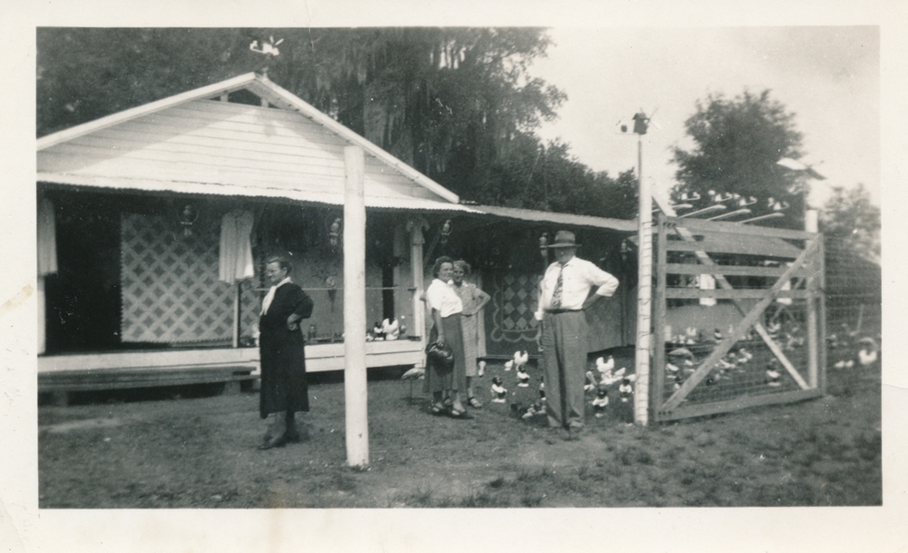 The Junior Roadside Stand