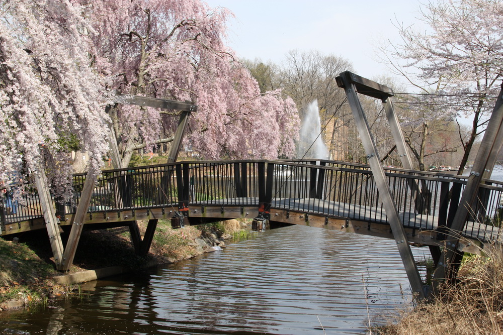 the bridge in spring