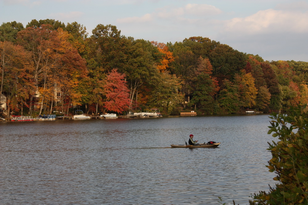 Fall Colors