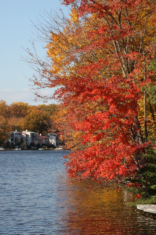 Fall Colors