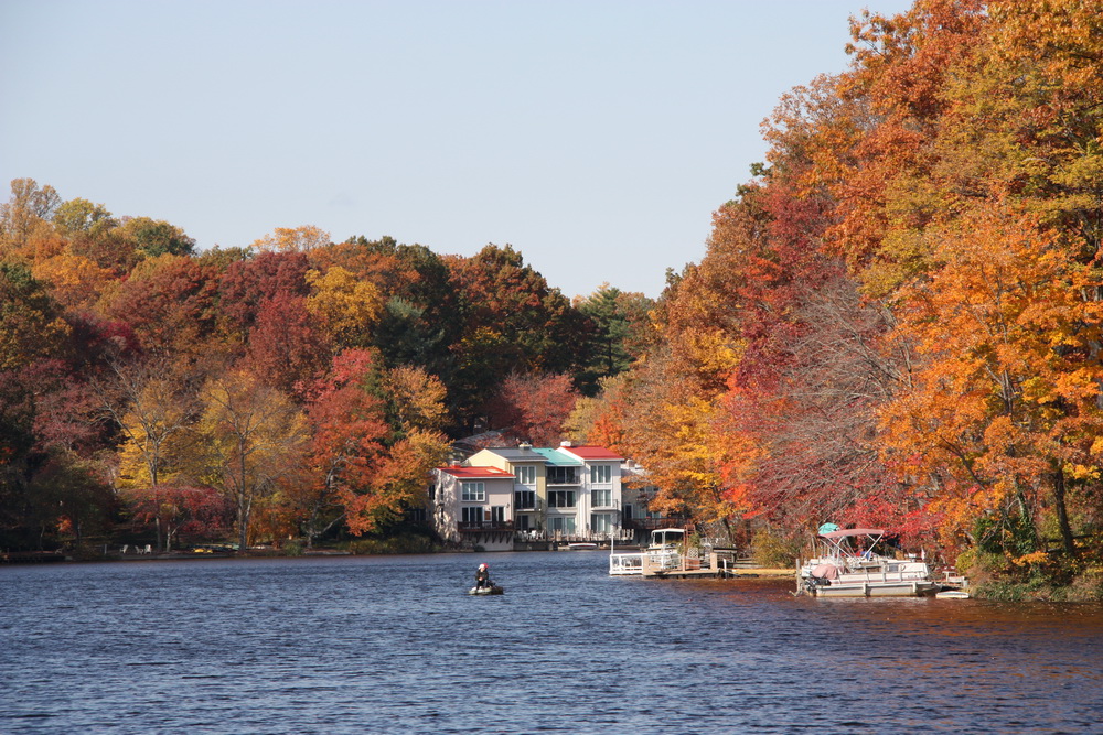 Fall Colors