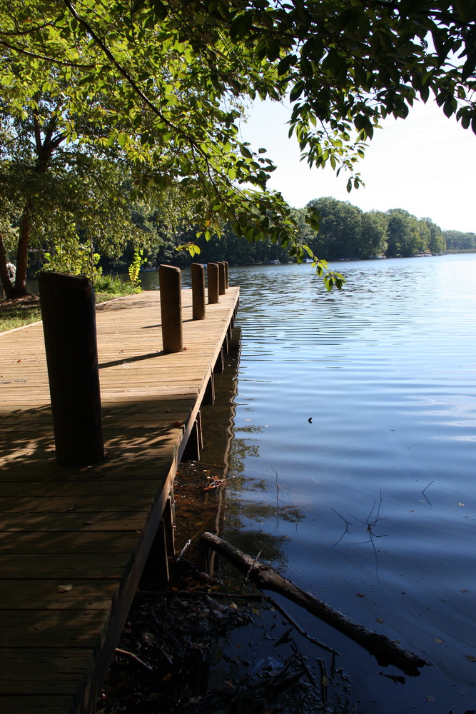 The Dock in Summer