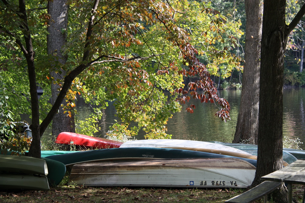 I leave the dock and pass the canoes