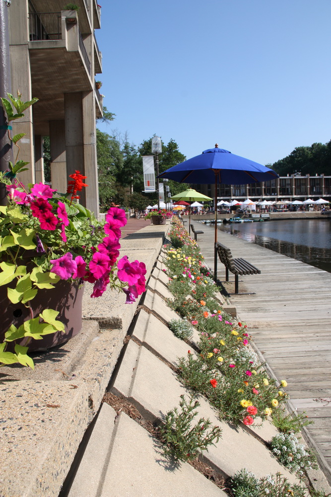 then continue down the boardwalk lined with flowers