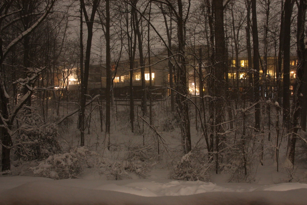 Night winter wonderland 