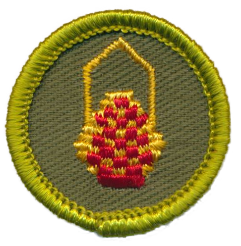 Basketry Merit Badge