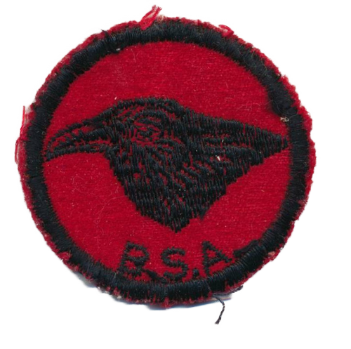 Raven Patrol Badge