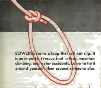 Bowline Knot