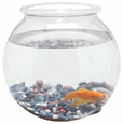 Goldfish Bowl