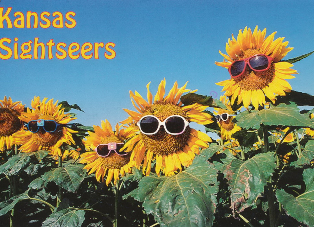 Kansas Postcard