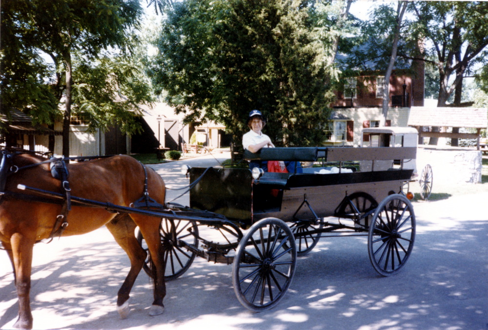 Barbara in buggy