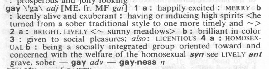 Gay definition