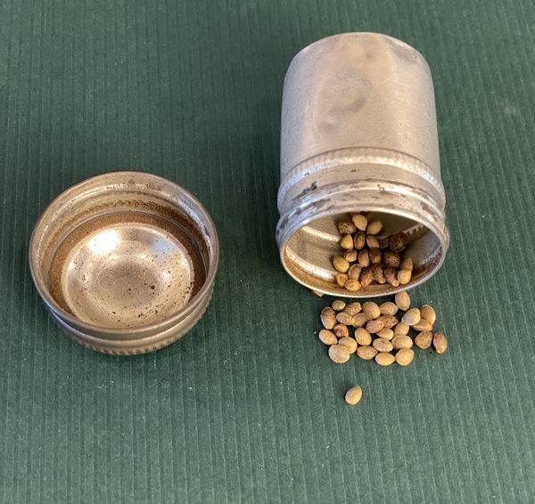 film can with seeds