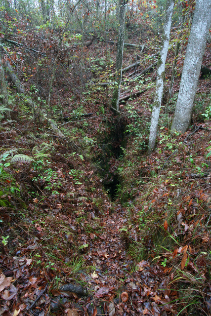 Cave Entrance