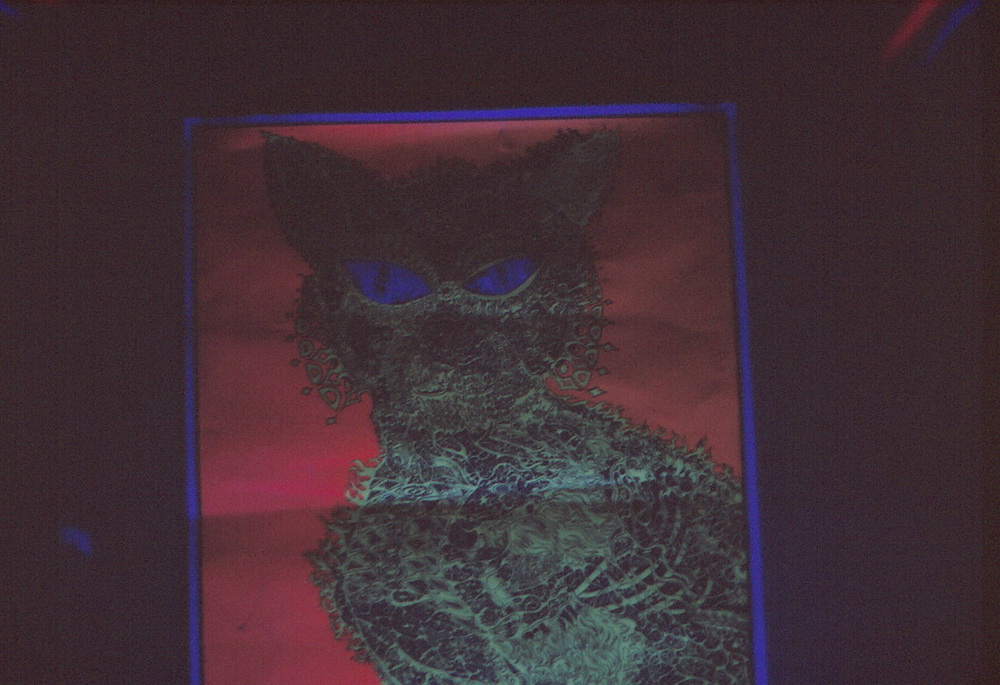 Black Light Poster