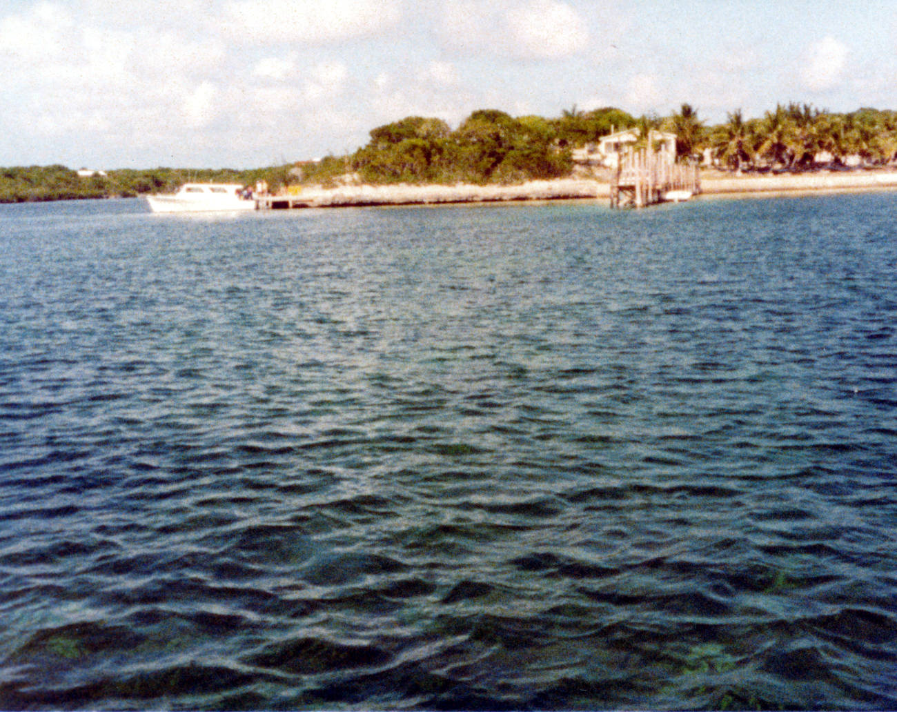 View of island from the Alan's boat