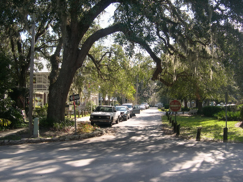A summer drive though historic old Micanopy