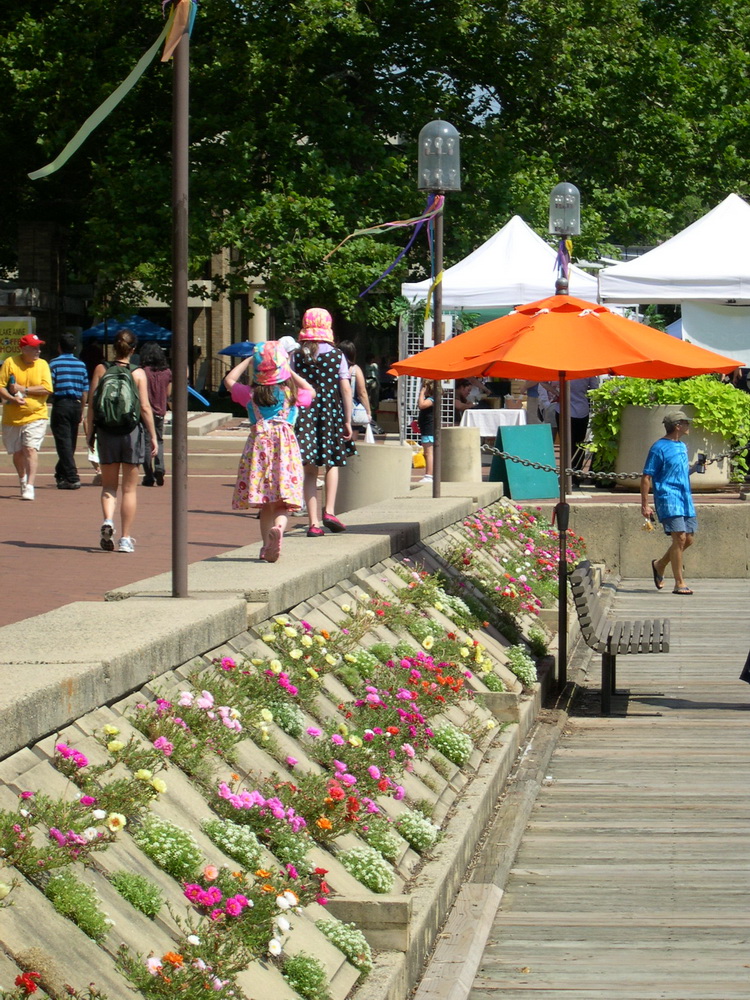 Reston dock