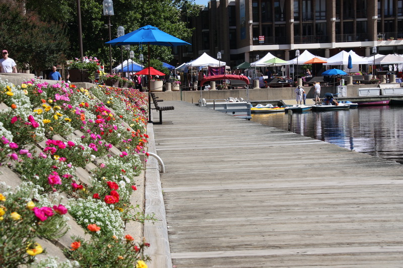 Summer at Lake Anne