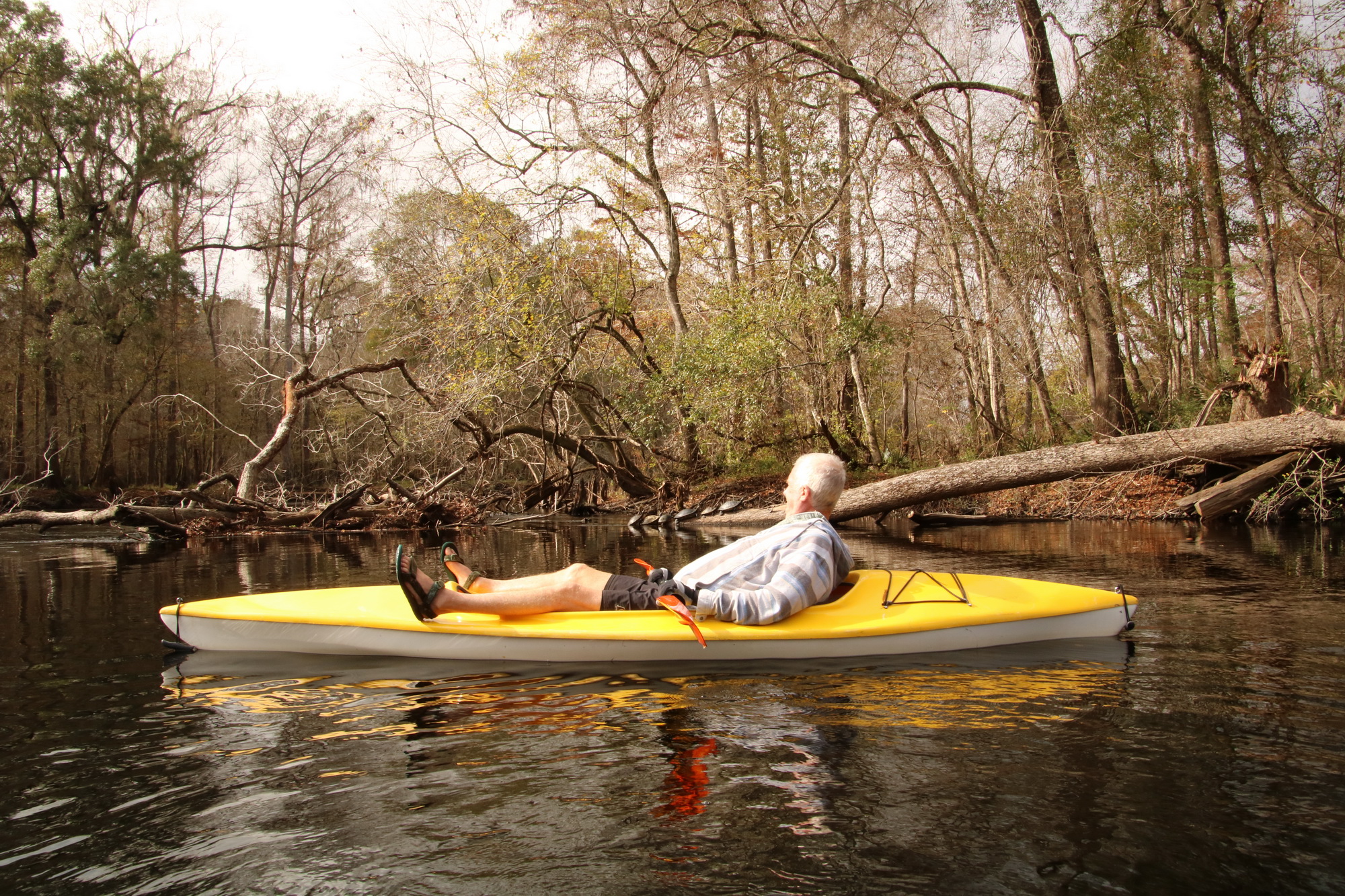David Floating downstream