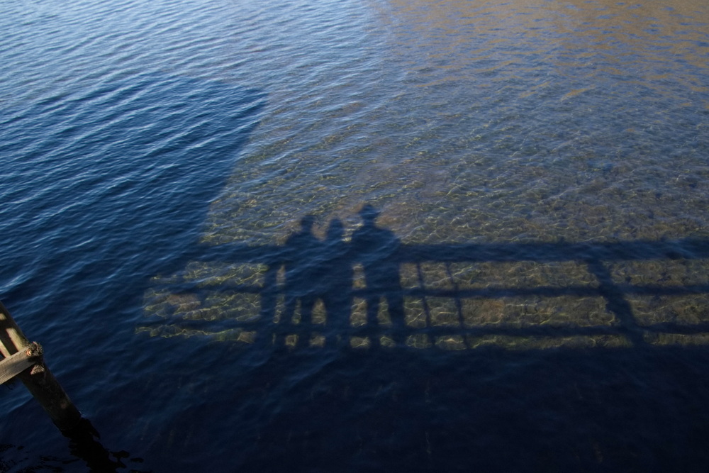 Shadows on the water