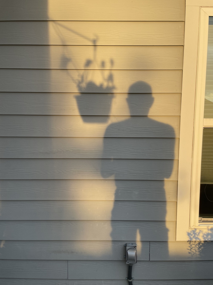 Shadow of me