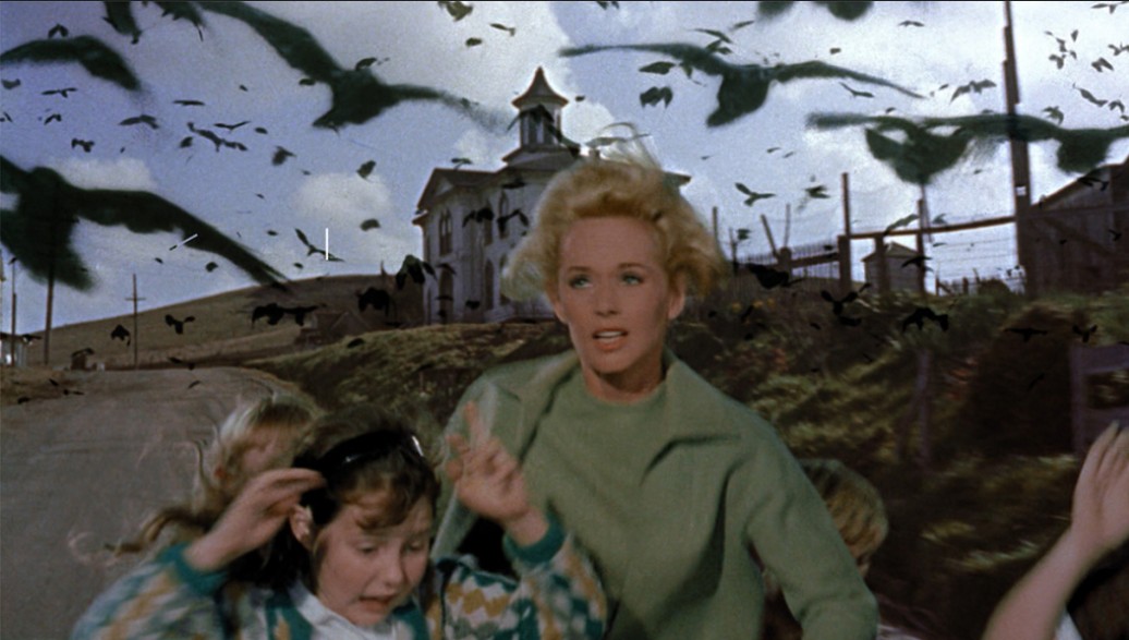 The Birds