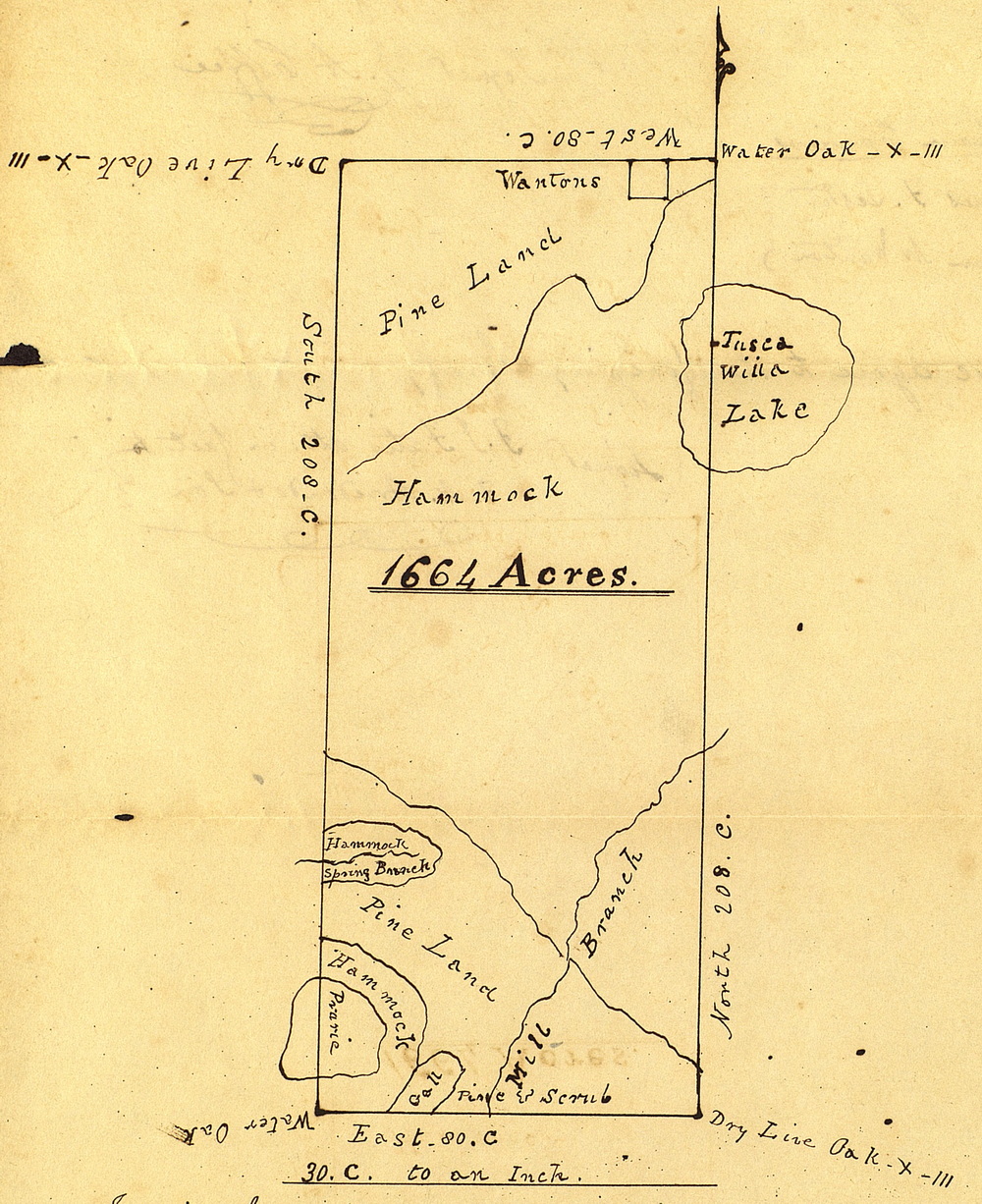 Wanton Land