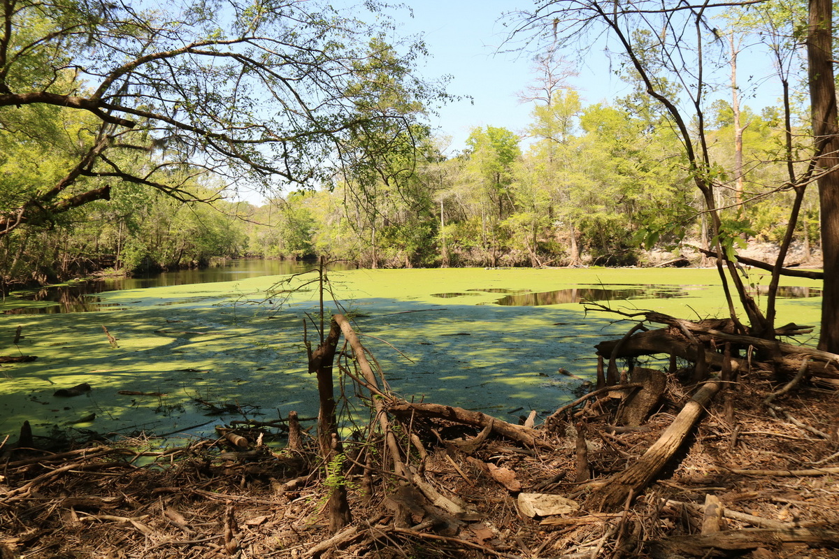 River Sink