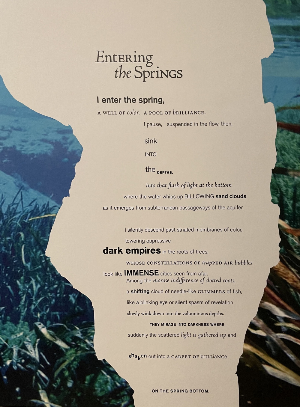 Entering the Springs