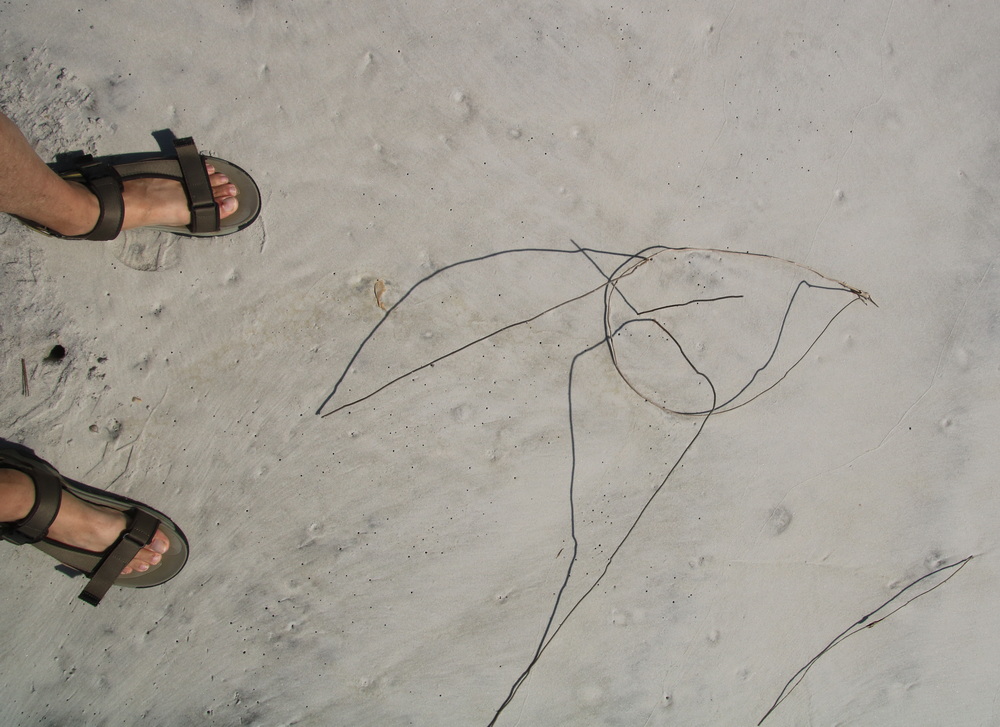 A Picasso of sticks and shadow at my feet